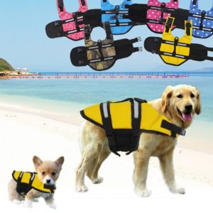 Life Jacket