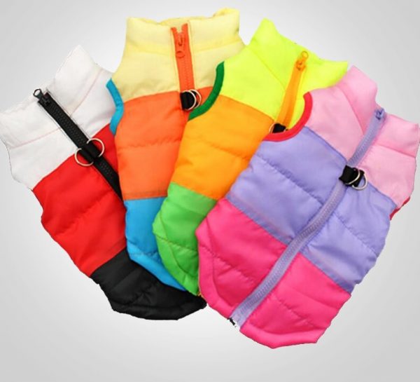 Winter Colorful Vests