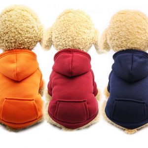 Plain Color Hoodies