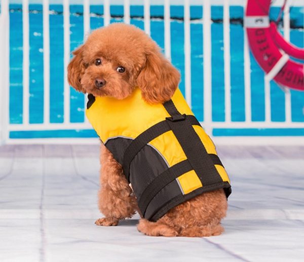 Small Dog Pet Life Jacket