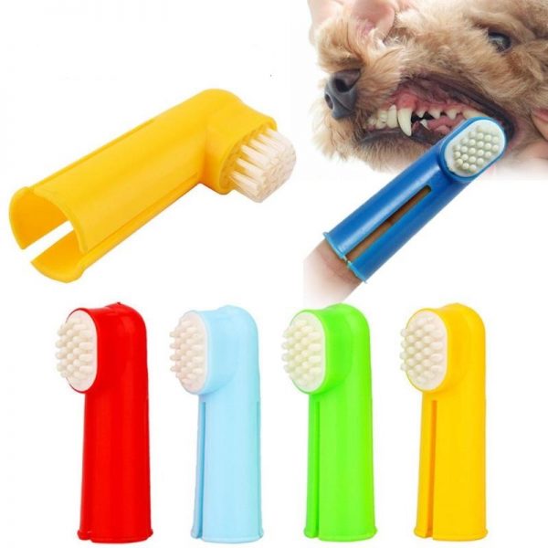 Toothbrush
